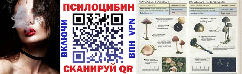 Галлюциногенные грибы Magic Shrooms  Купить  Новокубанск 