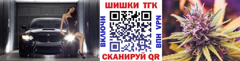 Бошки марихуана сатива  Купить закладки  Новокубанск 